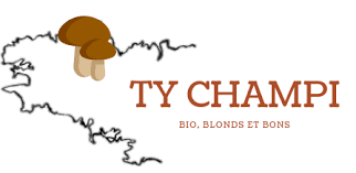 logo de Ty Champi avec un lien vers leur site internet